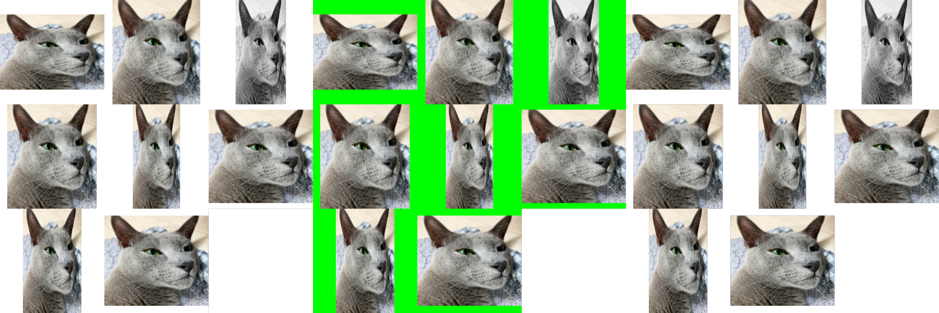 Image grid example