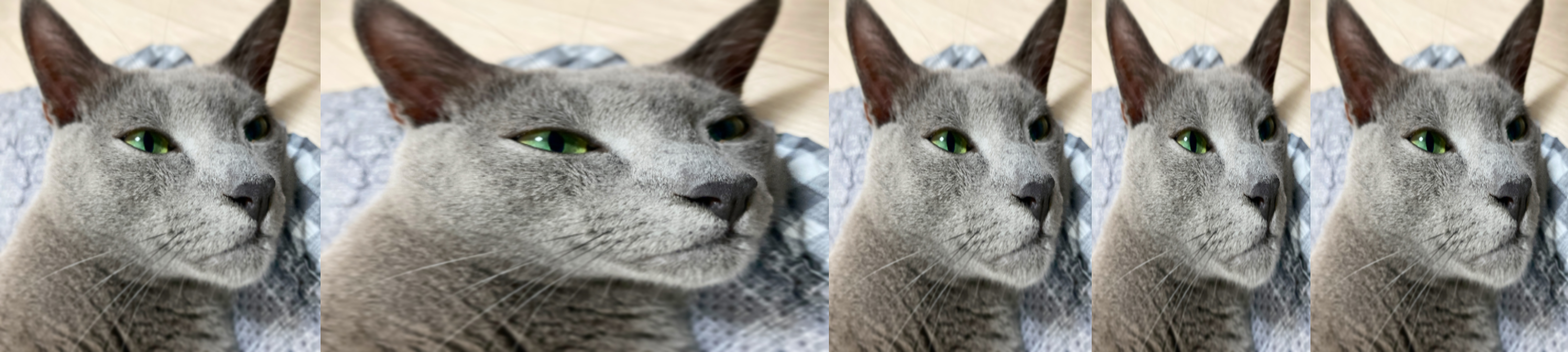 Vertical image alignment example